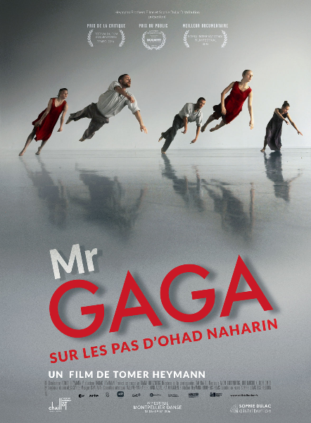 Couverture de DVD Danse 